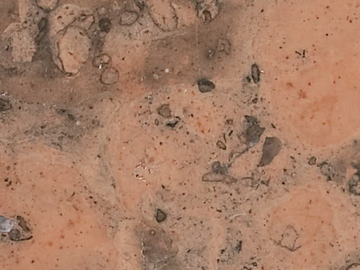 Marble - Marble wall/floor tiles by RAMA 1956 - view 2